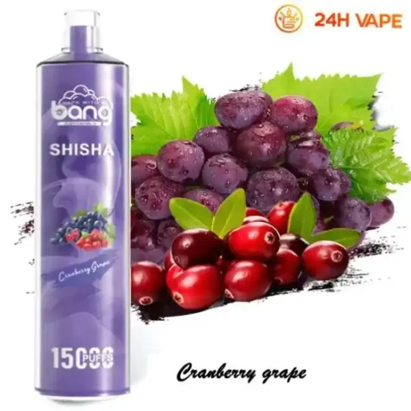 Bang SHISHA 15K (15000) Puffs 0% 2% 3% 5% Nicotine 600mAh Battery 23ml Oil Disposable Vape Pen 5 Bang SHISHA 15K(15000) Puffs 0% 2% 3% 5% Nicotine 600mAh Battery 23ml Oil Disposable Vape Pen