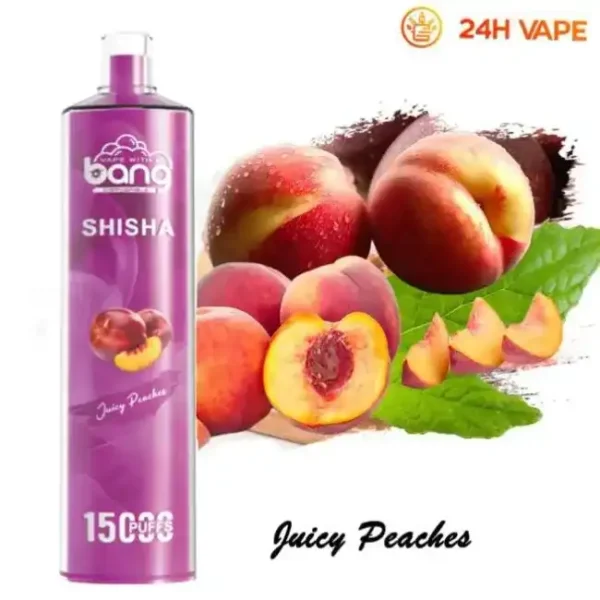 Bang SHISHA 15K (15000) Puffs 0% 2% 3% 5% Nicotine 600mAh Battery 23ml Oil Disposable Vape Pen 8 Bang SHISHA 15K(15000) Puffs 0% 2% 3% 5% Nicotine 600mAh Battery 23ml Oil Disposable Vape Pen