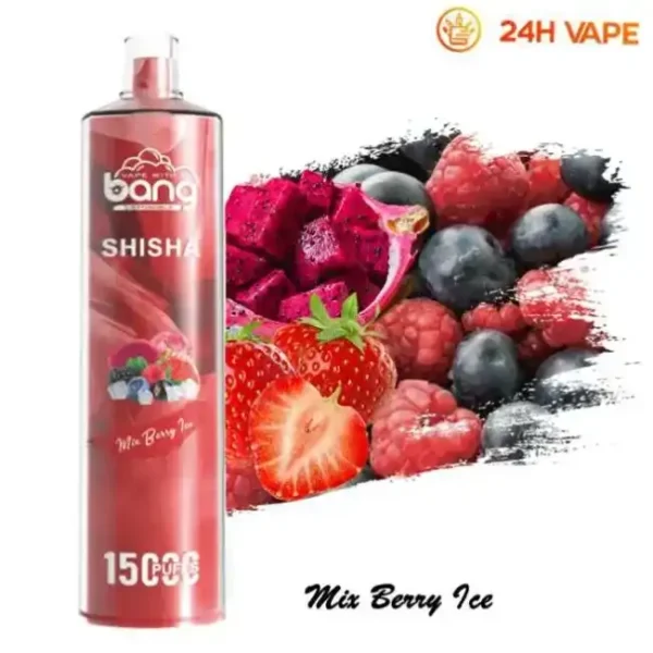 Bang SHISHA 15K (15000) Puffs 0% 2% 3% 5% Nicotine 600mAh Battery 23ml Oil Disposable Vape Pen 12 Bang SHISHA 15K(15000) Puffs 0% 2% 3% 5% Nicotine 600mAh Battery 23ml Oil Disposable Vape Pen