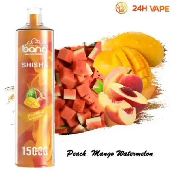 Bang SHISHA 15K (15000) Puffs 0% 2% 3% 5% Nicotine 600mAh Battery 23ml Oil Disposable Vape Pen 13 Bang SHISHA 15K(15000) Puffs 0% 2% 3% 5% Nicotine 600mAh Battery 23ml Oil Disposable Vape Pen