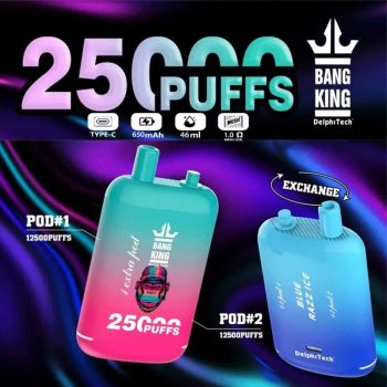 Bang King 25K(25000) Puffs Dual Pods 46ml E-liquid 0% 2% 3% 5% Nicotine Type-C Charging Disposable Vape